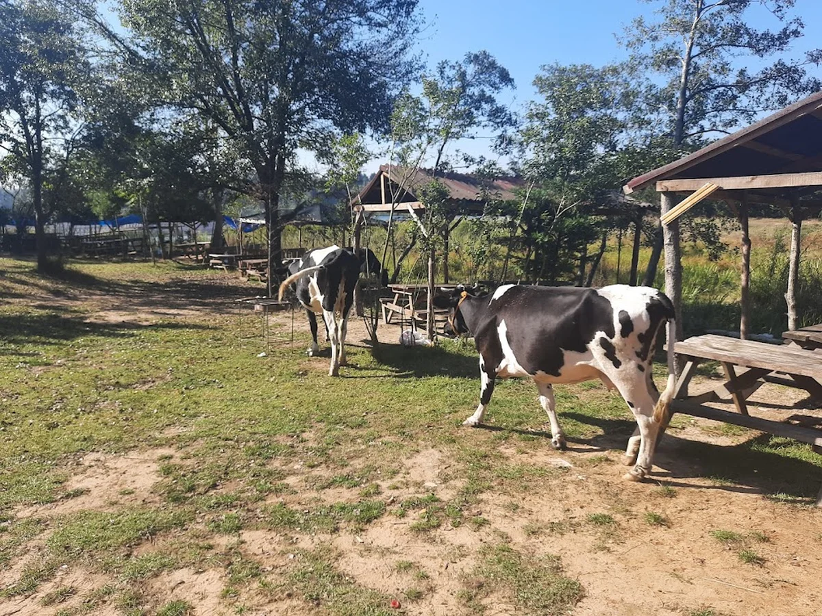 Bahçem Piknik Alanı - Görsel 6