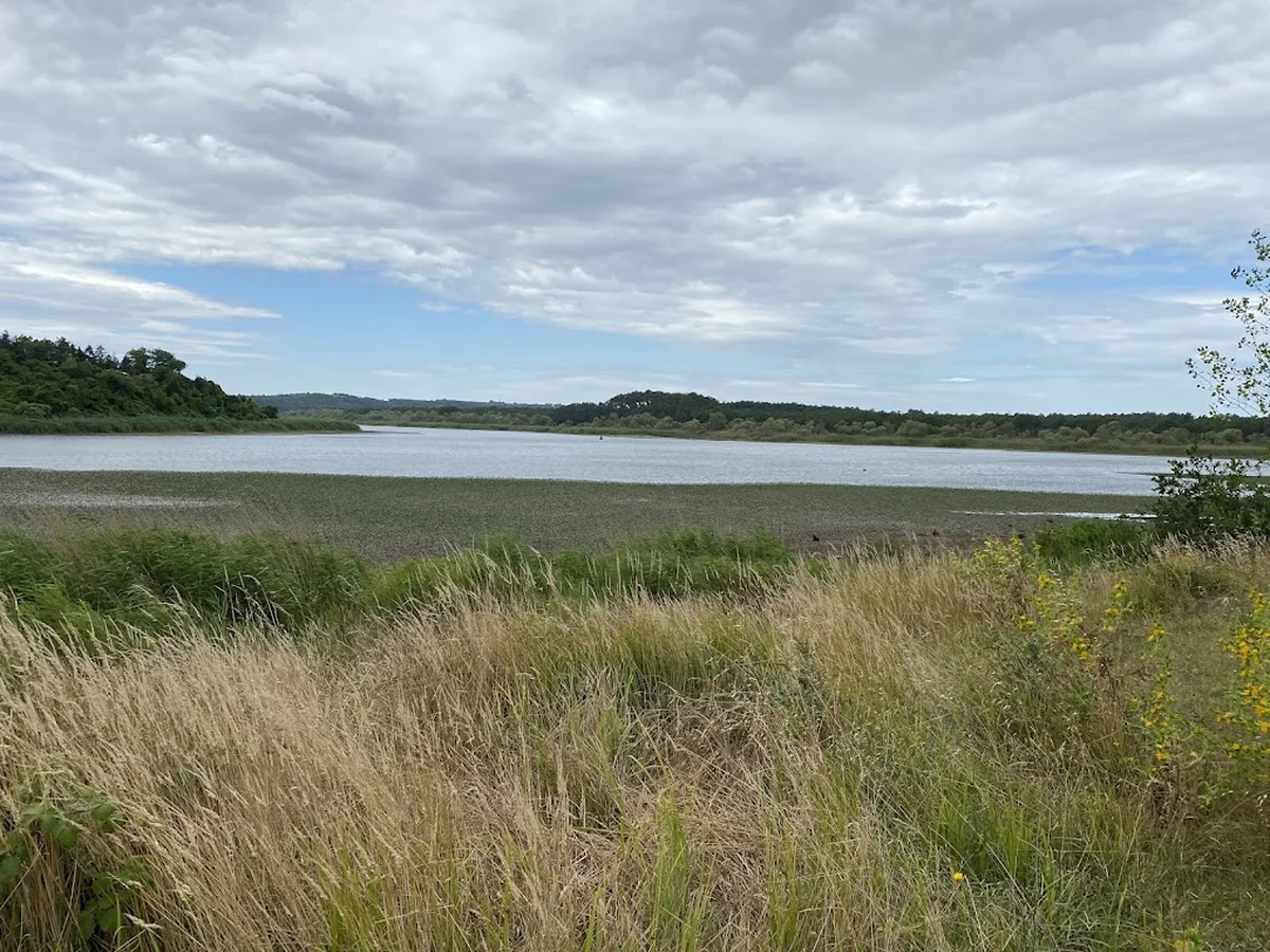 Bahçem Piknik Alanı - Görsel 8