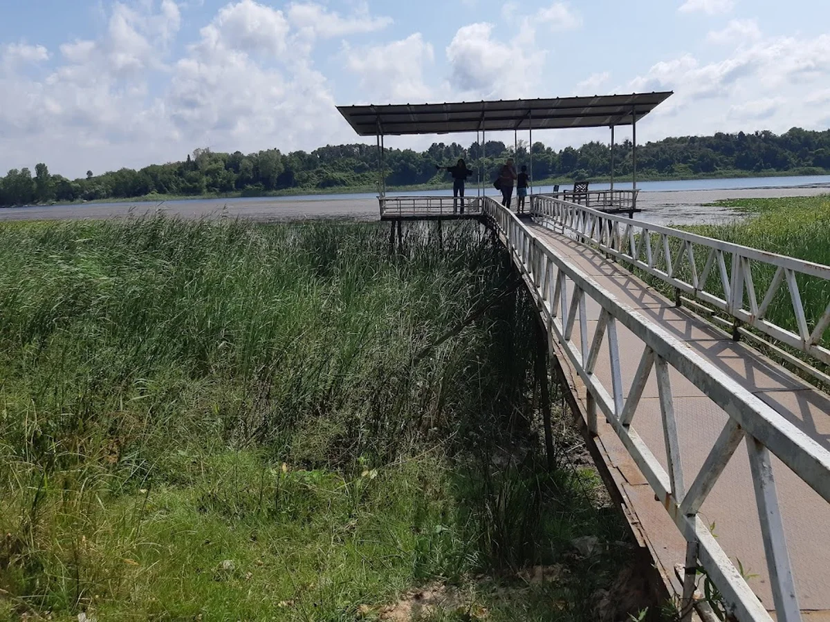 Bahçem Piknik Alanı - Görsel 9