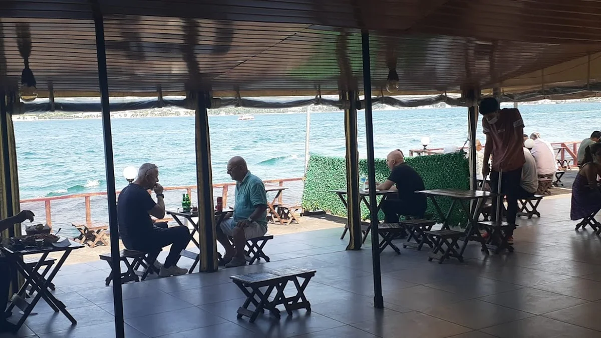 Taka balık - Görsel 2