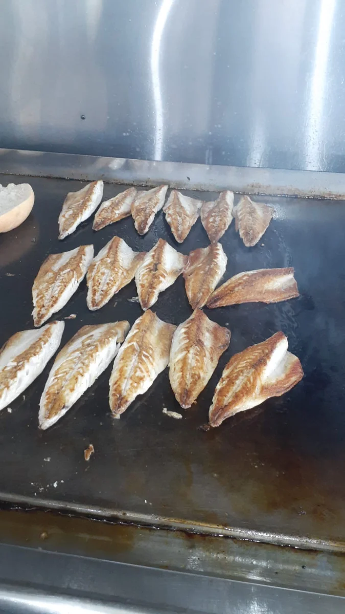 Taka balık - Görsel 4