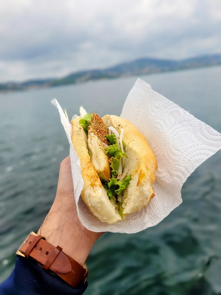 Taka balık - Görsel 5