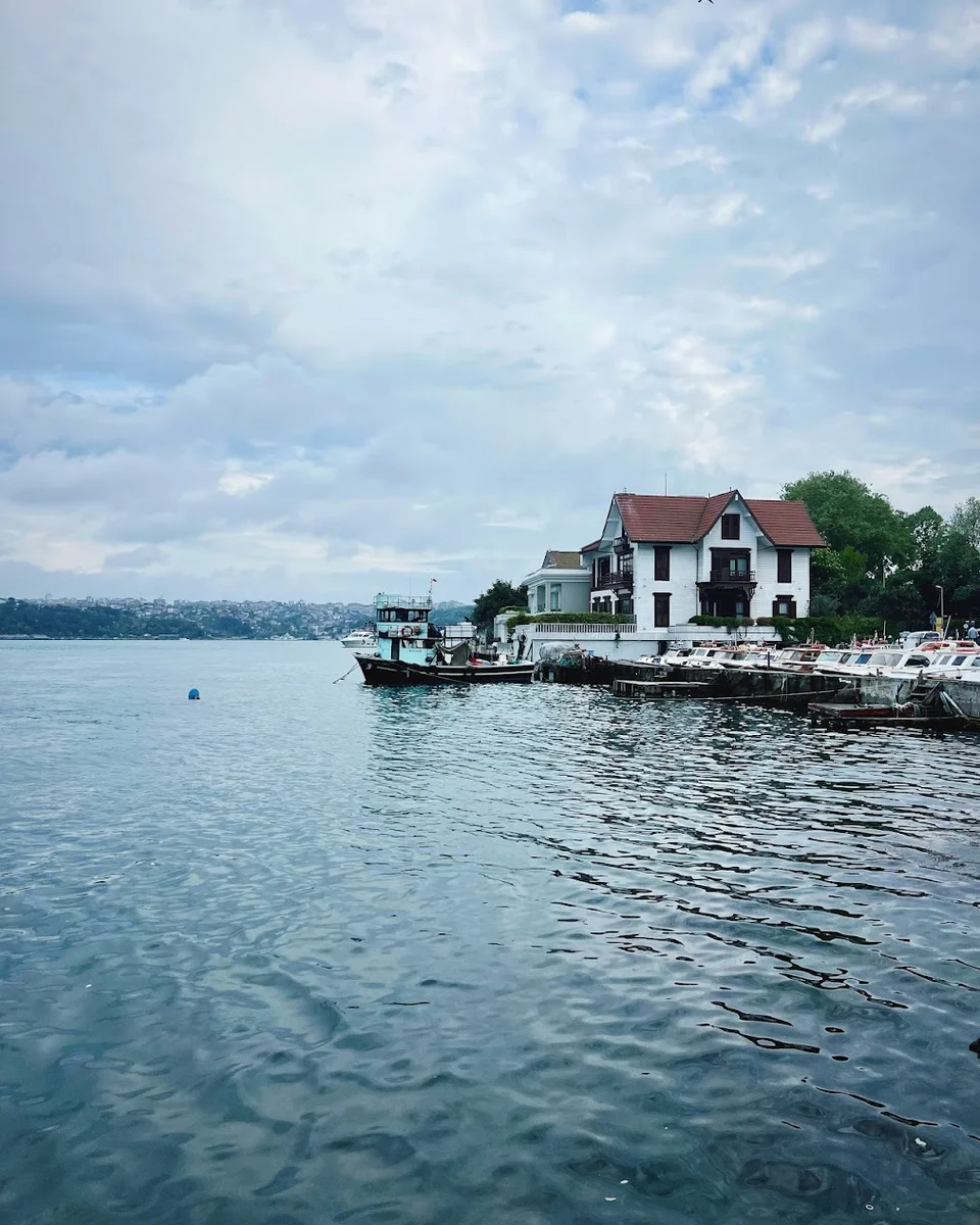 Taka balık - Görsel 6