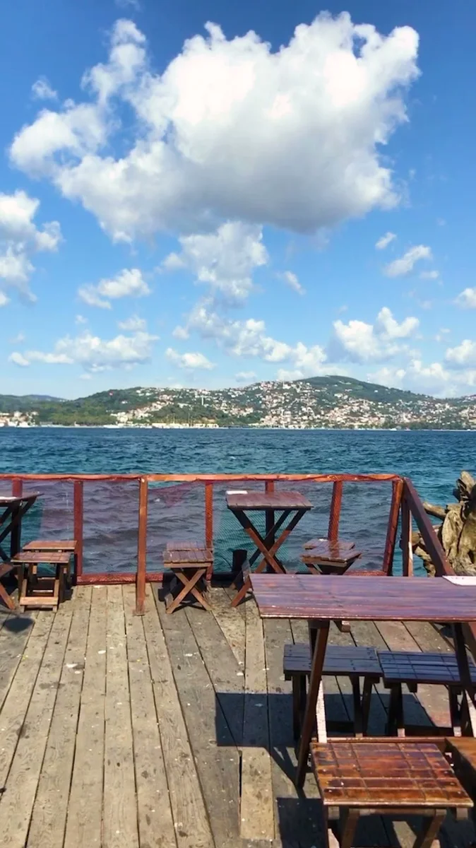 Taka balık - Görsel 7