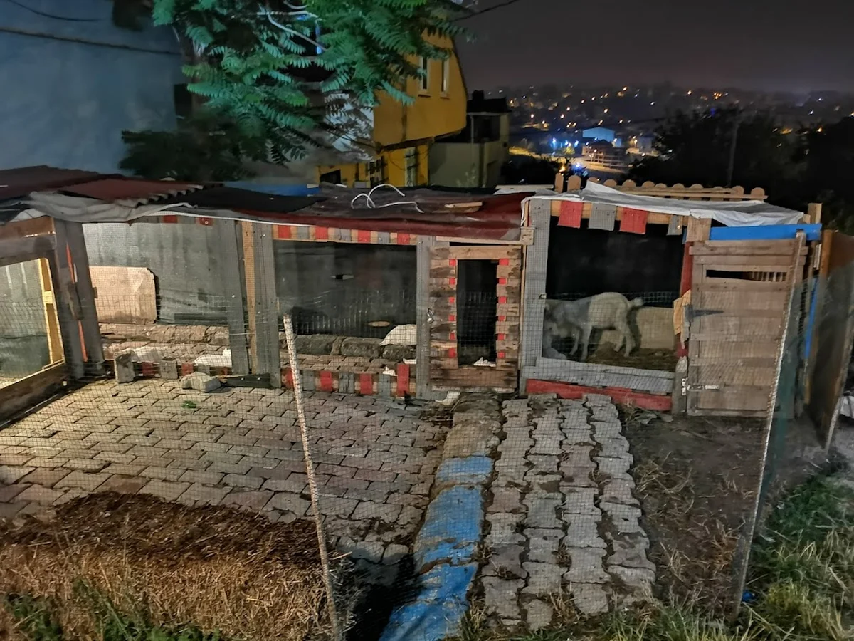 Koy Evi Cafe Restaurant - Görsel 4