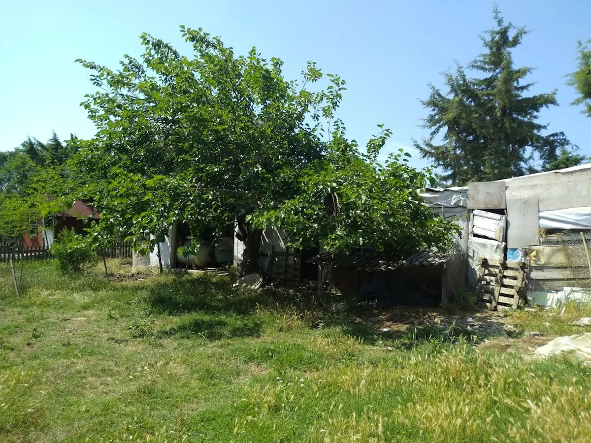 Sarıbıyık Çiftliği - Görsel 4