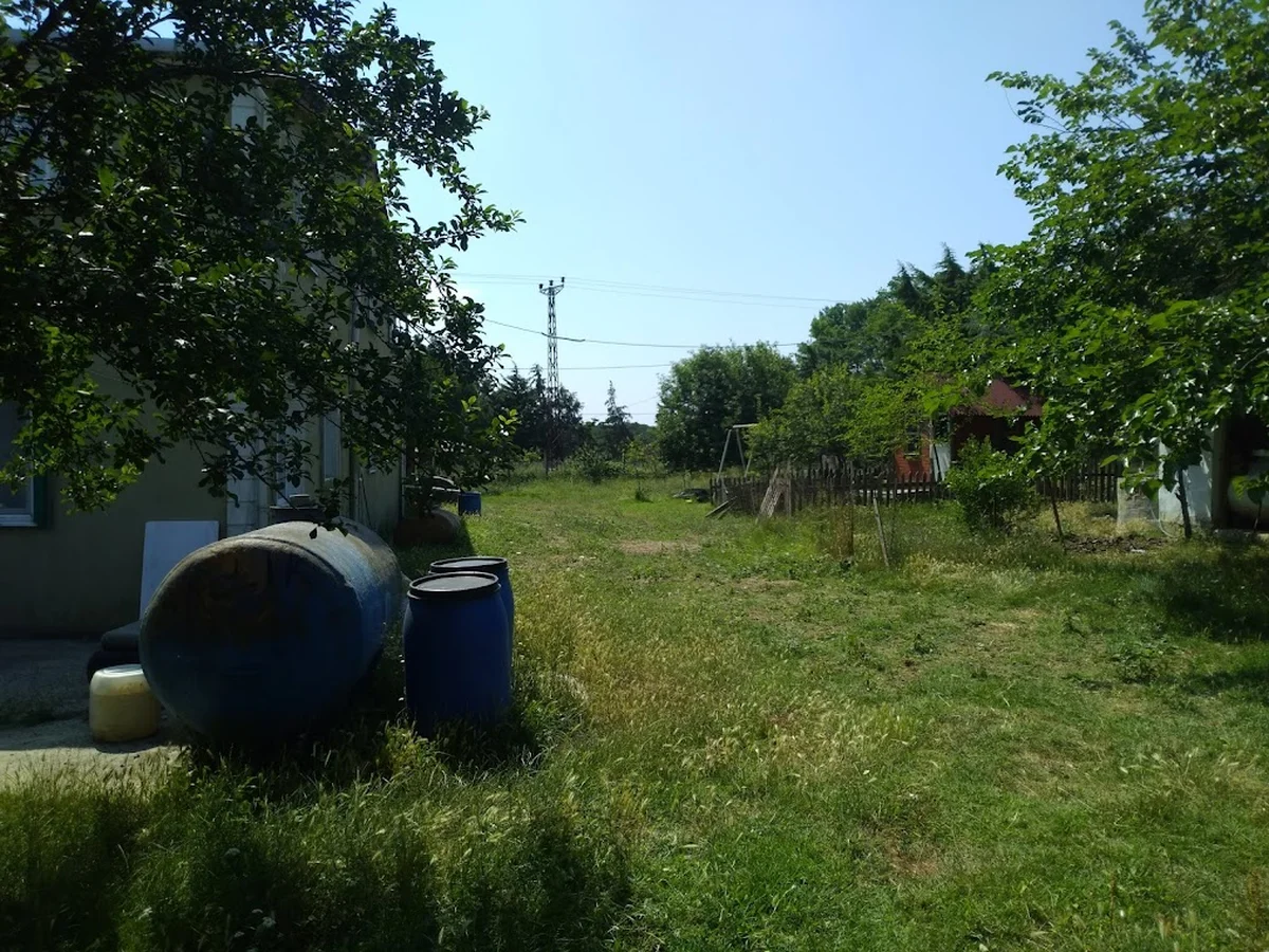 Sarıbıyık Çiftliği - Görsel 6