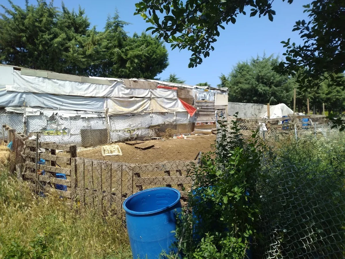 Sarıbıyık Çiftliği - Görsel 9