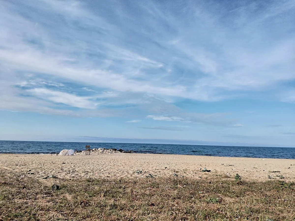 Ayazma Balık Lokantası - Görsel 2