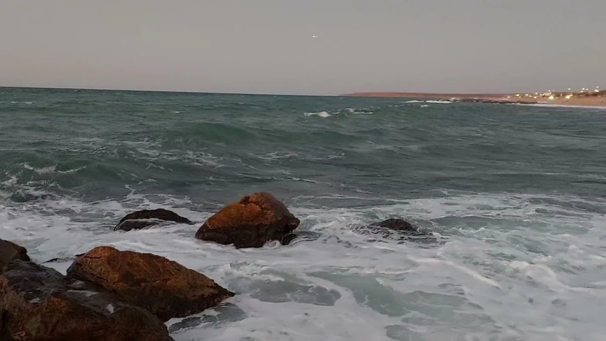 Ayazma Balık Lokantası - Görsel 5