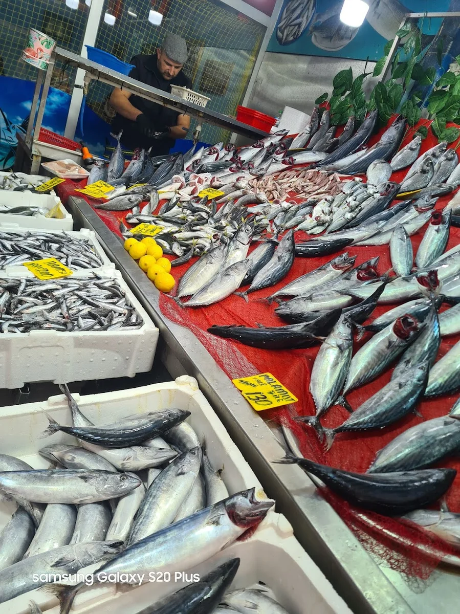 Yeni Çamlıca Balıkçısı - Görsel 3