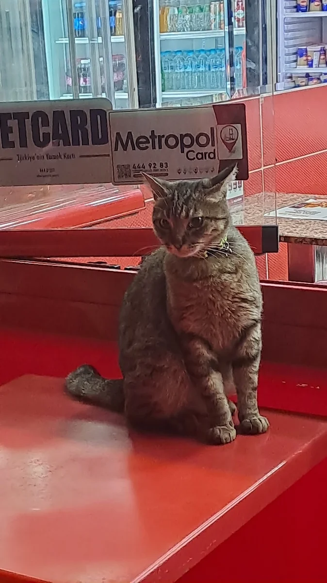 PAŞA DÖNER FERHATPAŞA ATAŞEHİR - Görsel 5