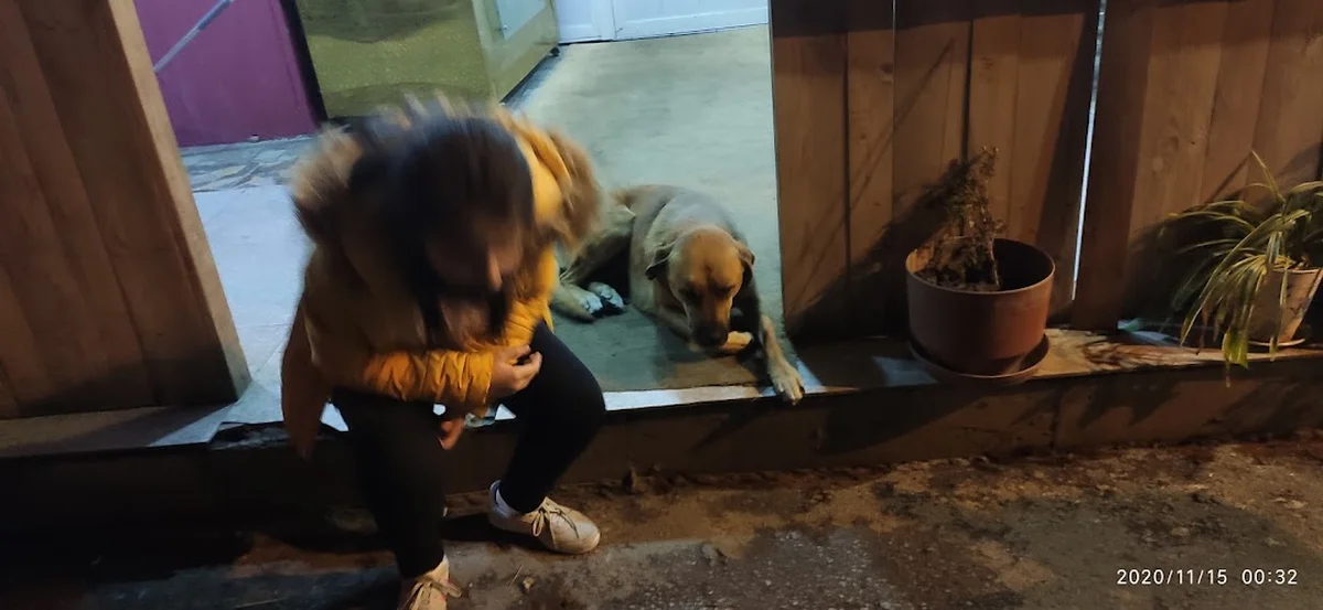 Kebapçi Dayi - Görsel 5