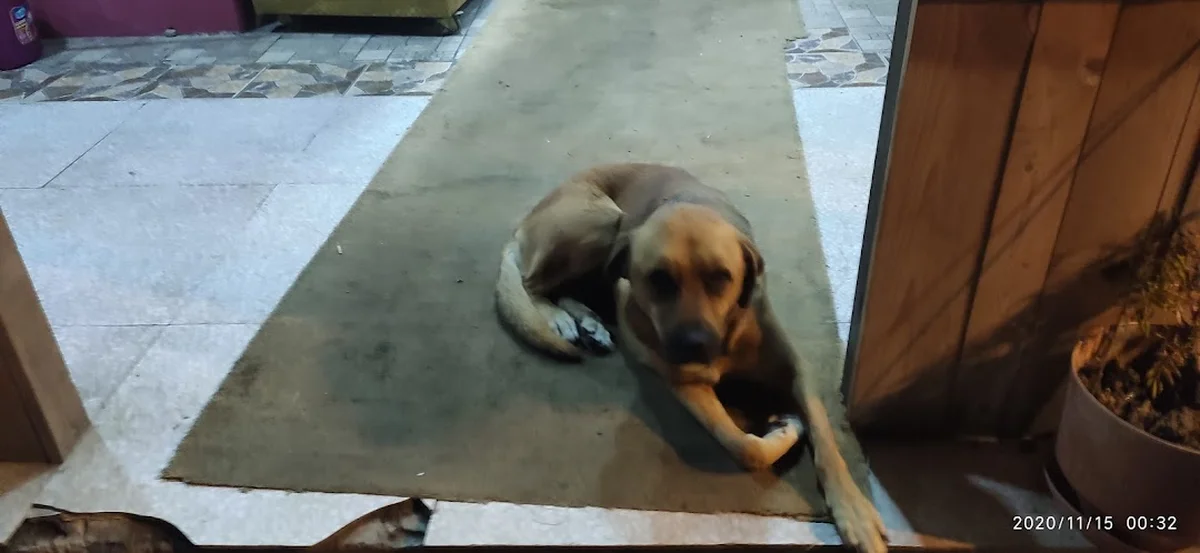 Kebapçi Dayi - Görsel 7