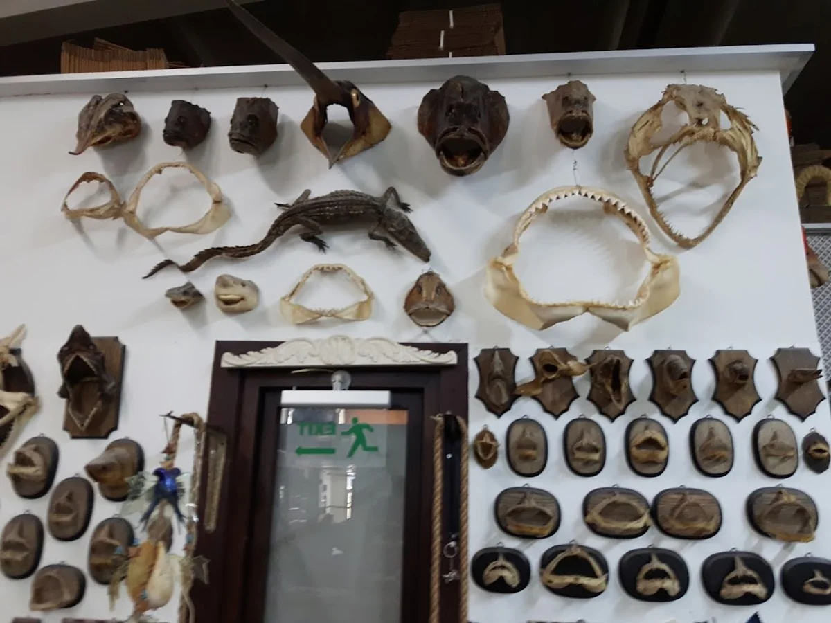 Mutfak Catering - Görsel 3