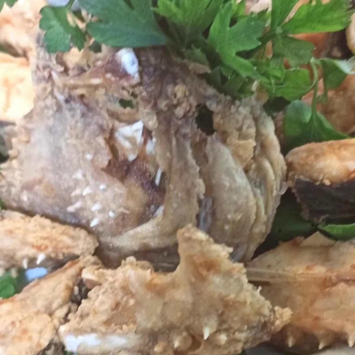 Nokta balık - Görsel 1