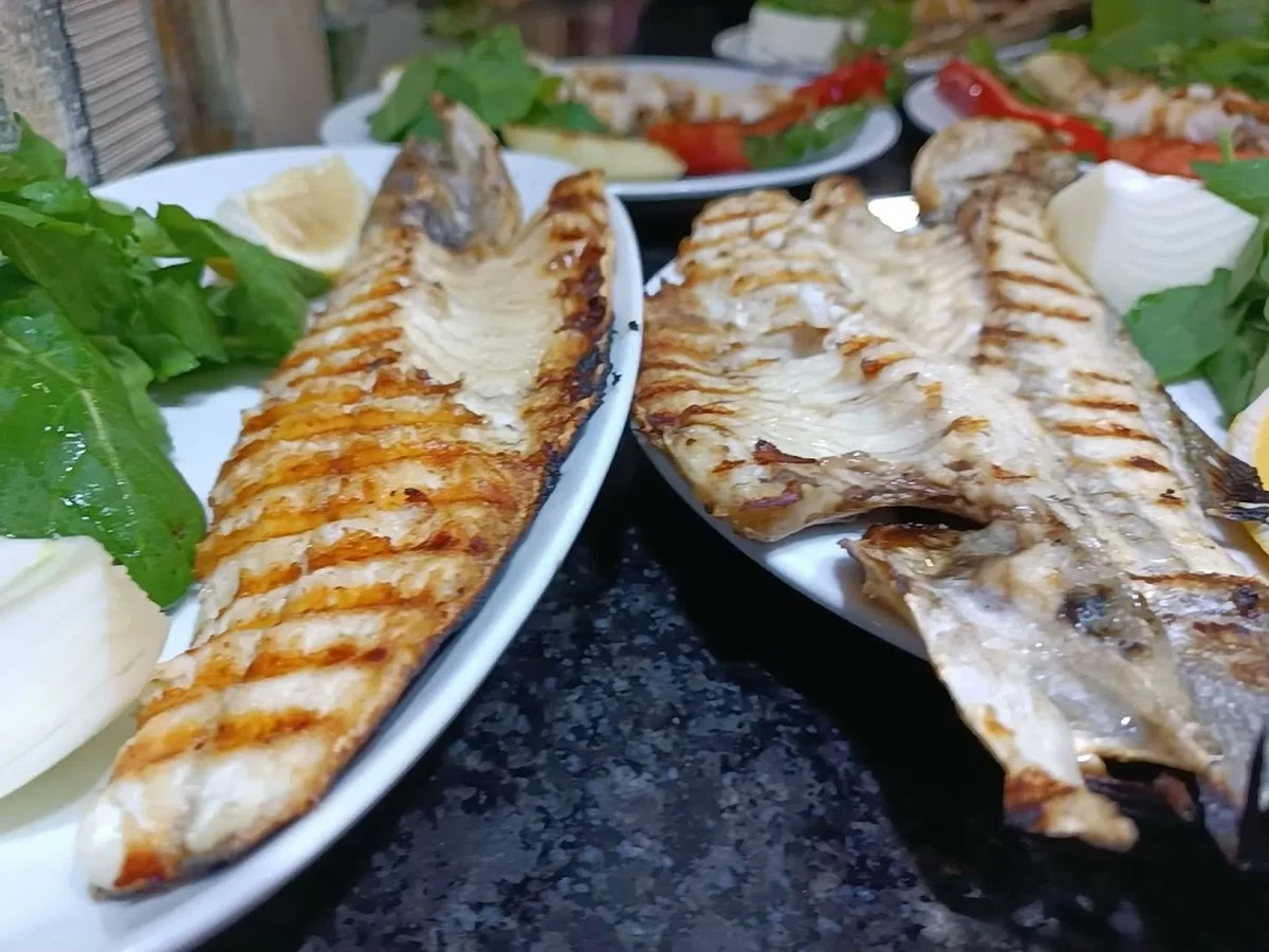 Nokta balık - Görsel 7