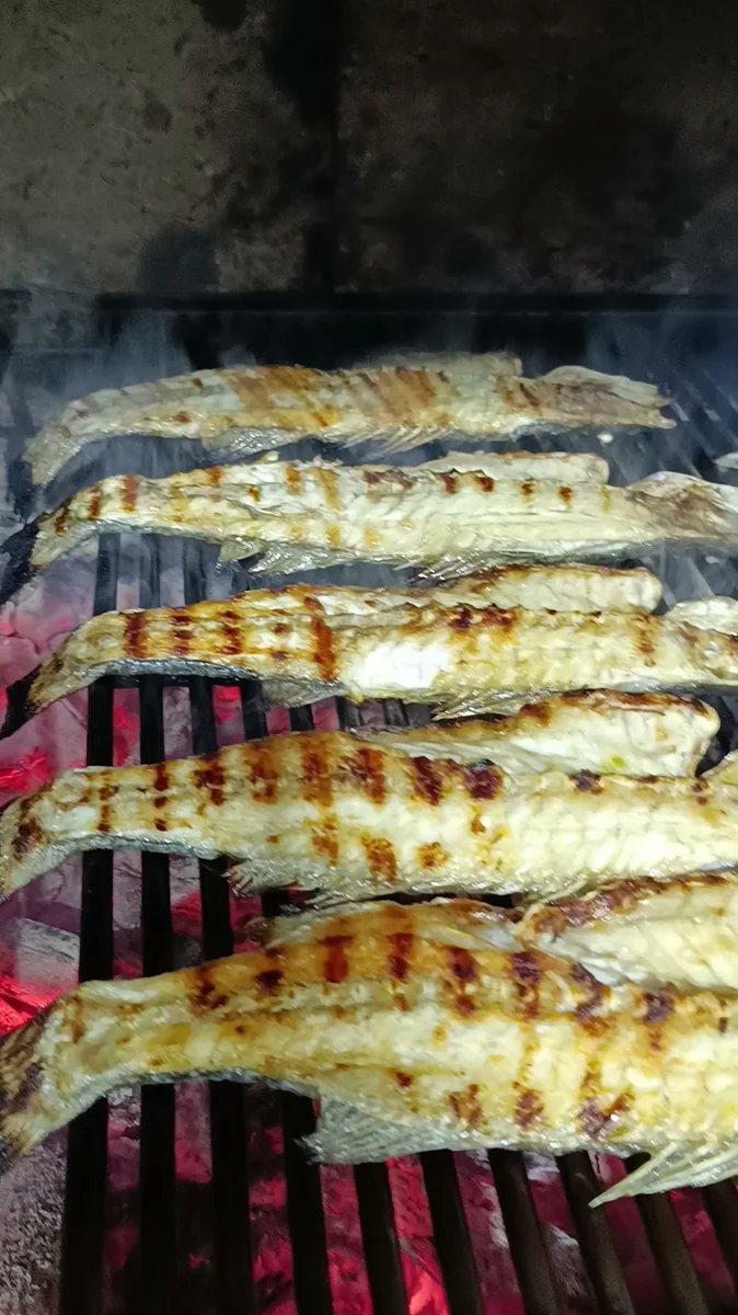 Nokta balık - Görsel 8