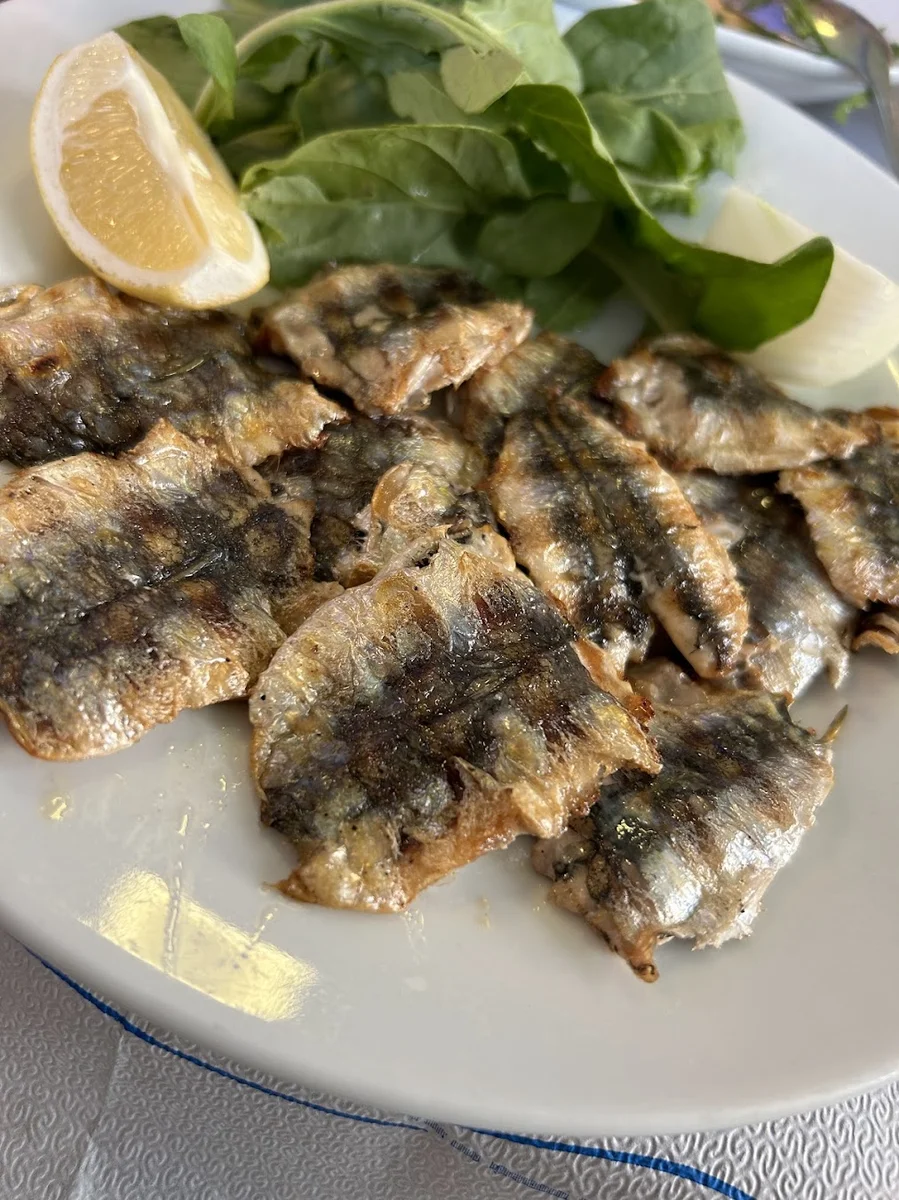 Nokta balık - Görsel 9