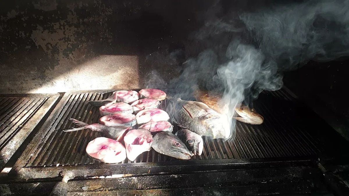 Ataşehir Balık Evi - Görsel 3