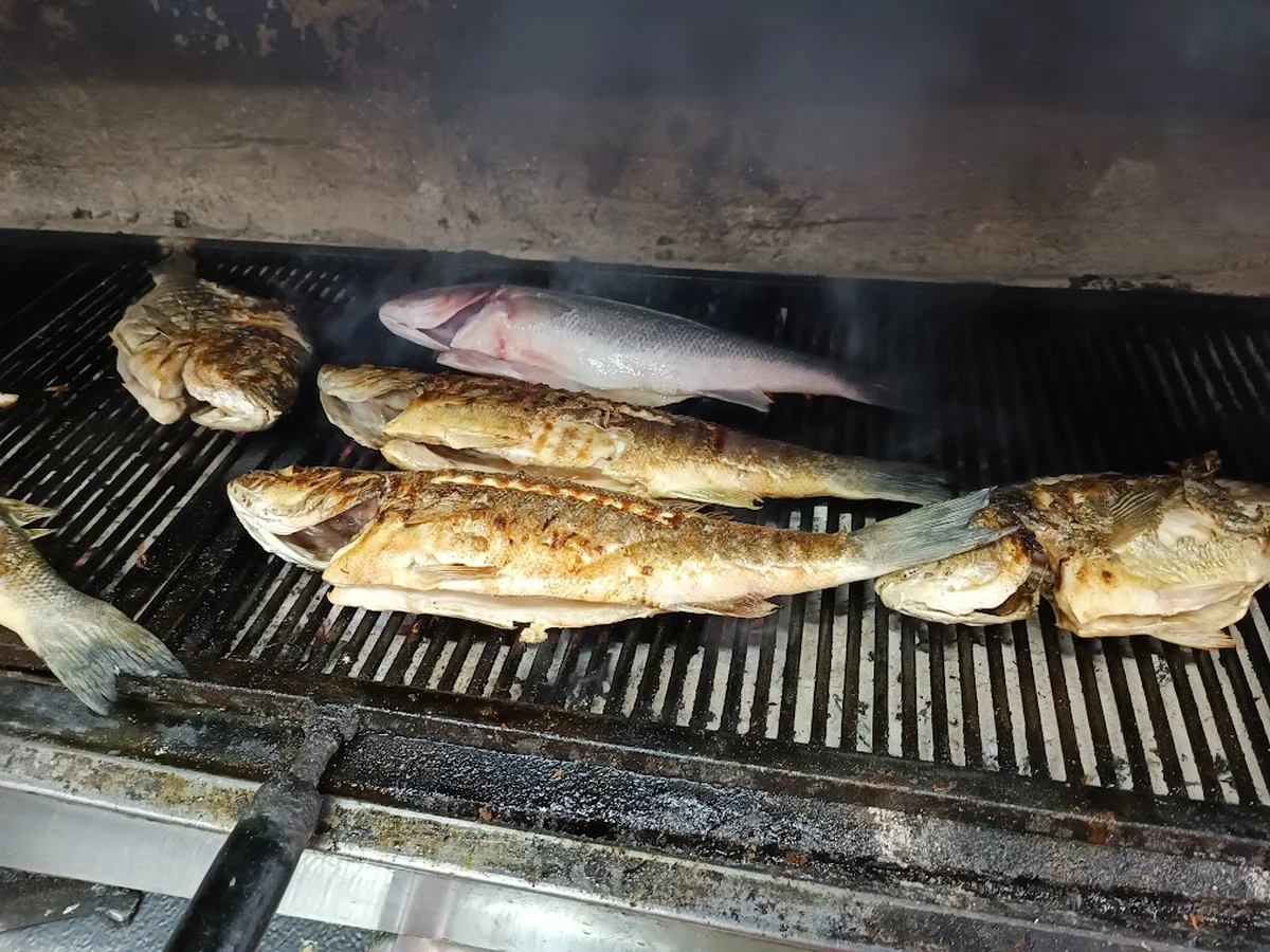 Ataşehir Balık Evi - Görsel 4