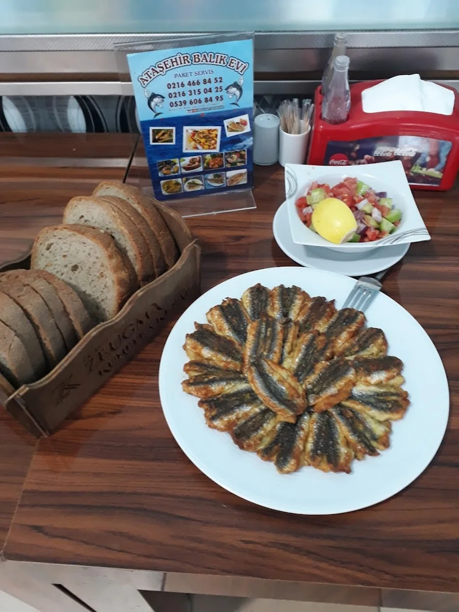Ataşehir Balık Evi - Görsel 5