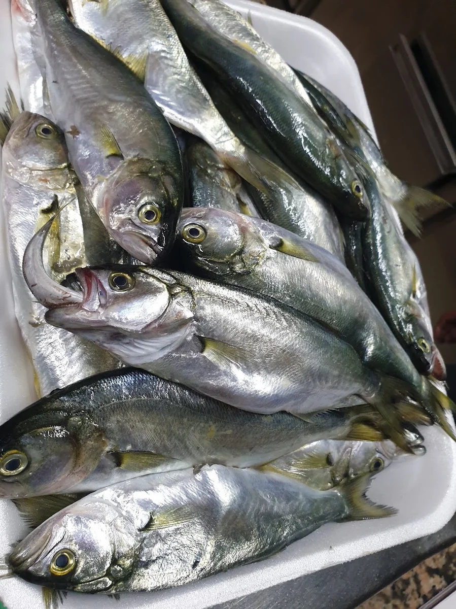 Ataşehir Balık Evi - Görsel 9