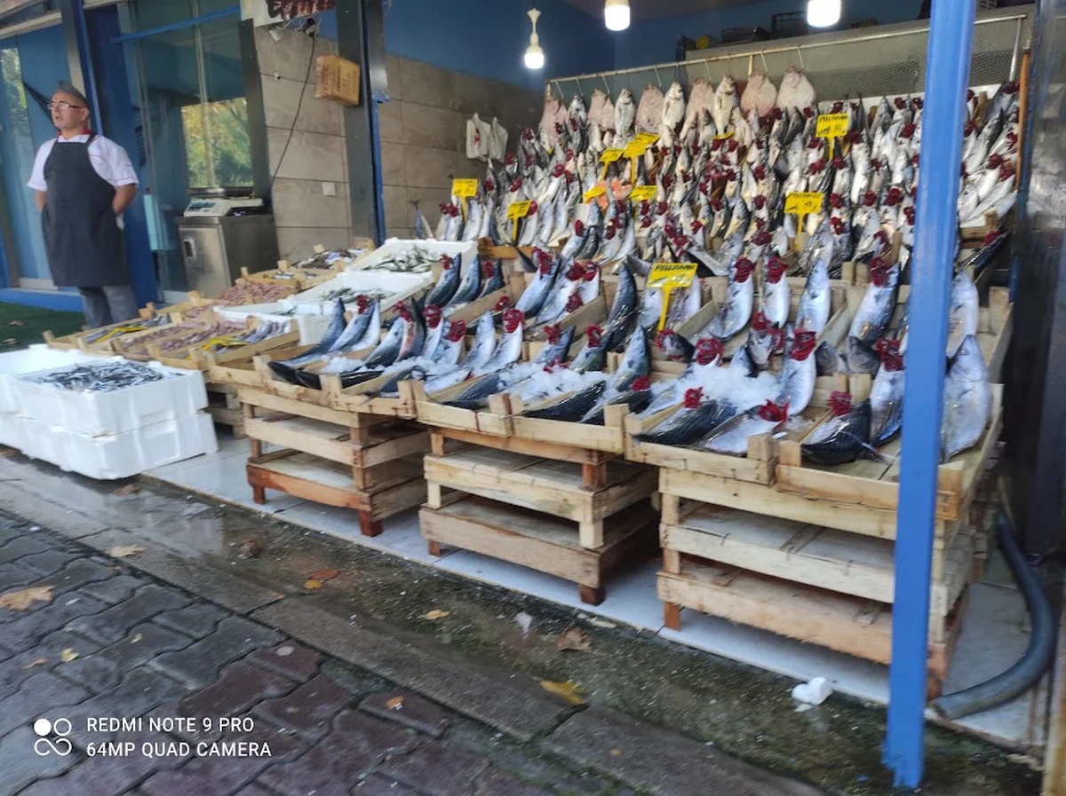 Balikçi Nuri - Görsel 1