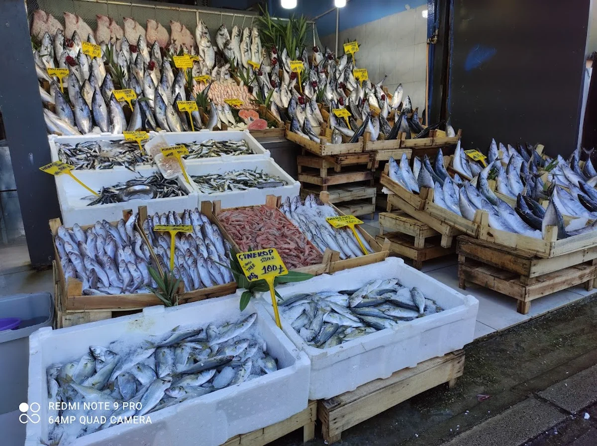 Balikçi Nuri - Görsel 3