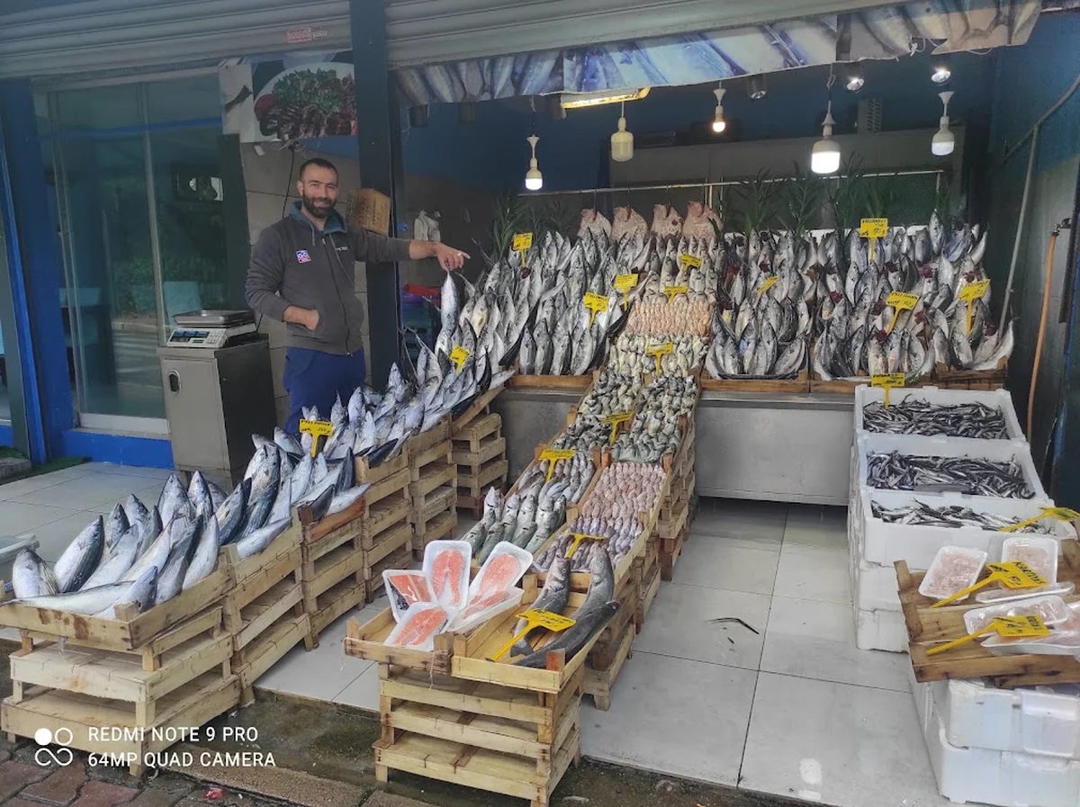 Balikçi Nuri - Görsel 5