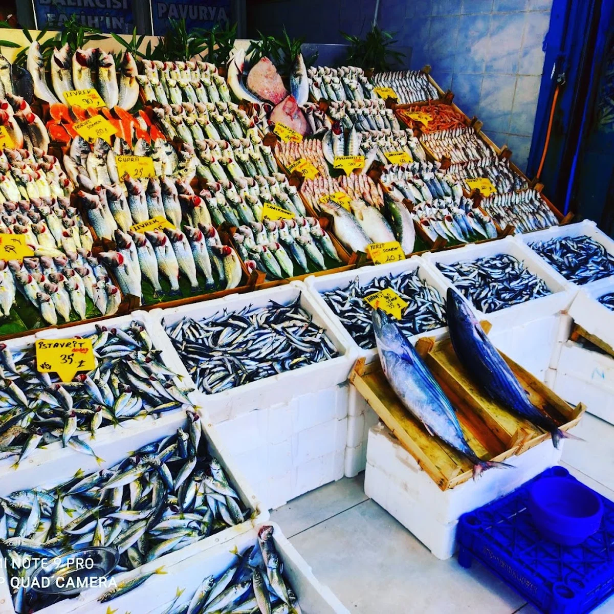 Balikçi Nuri - Görsel 9