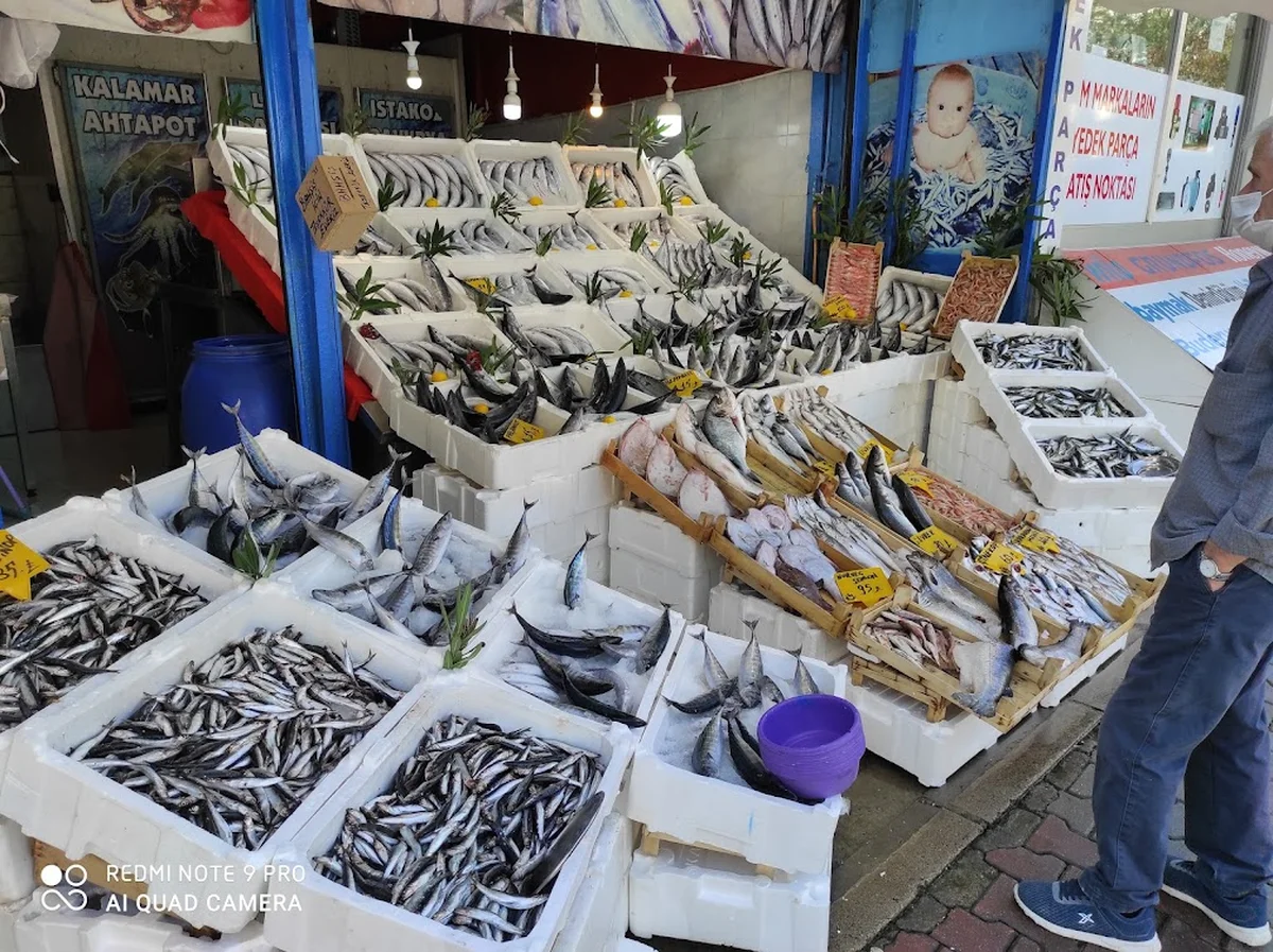 Balikçi Nuri - Görsel 7