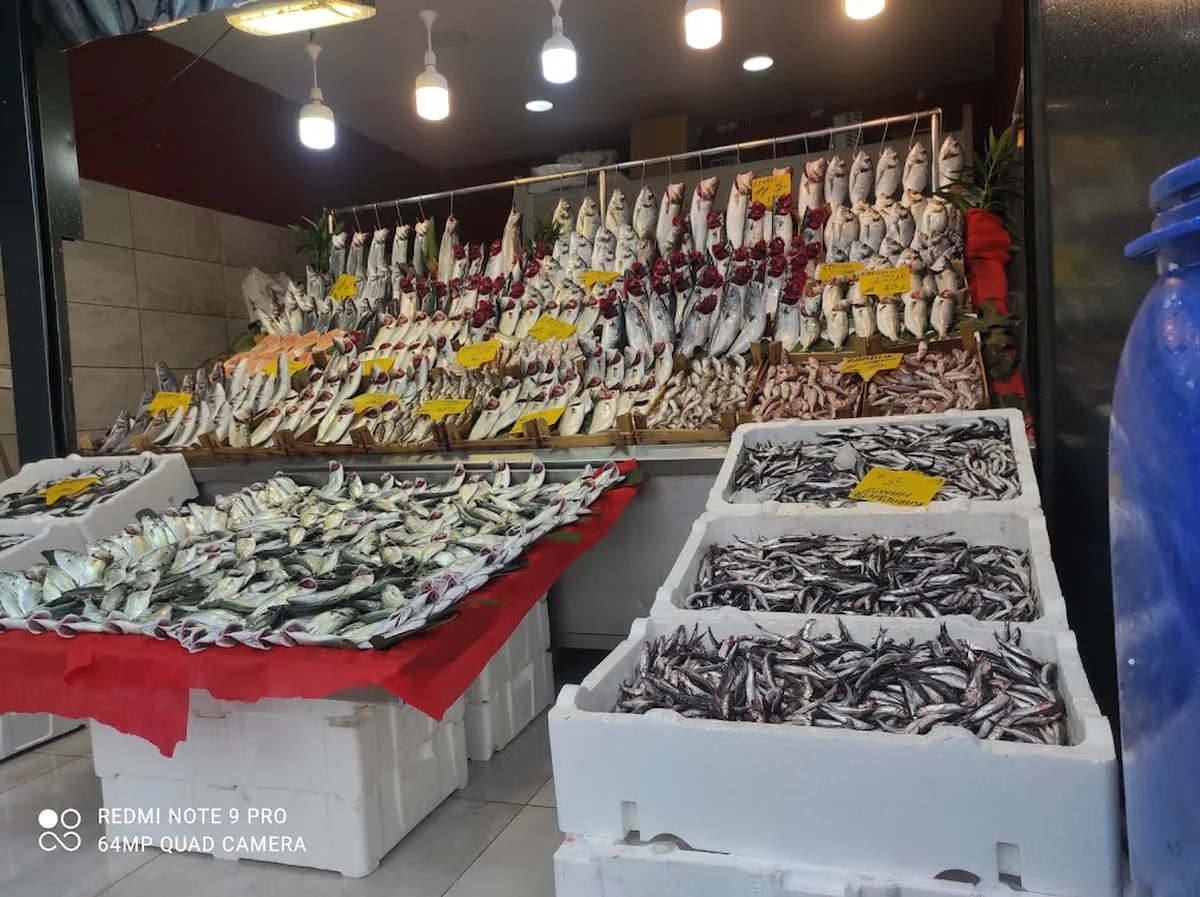 Balikçi Nuri - Görsel 8