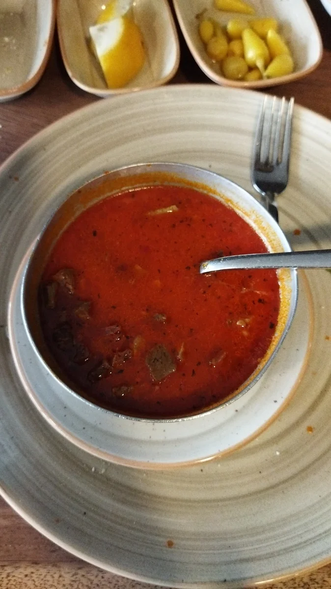 Bahçeşehir Sarıhan - Görsel 9