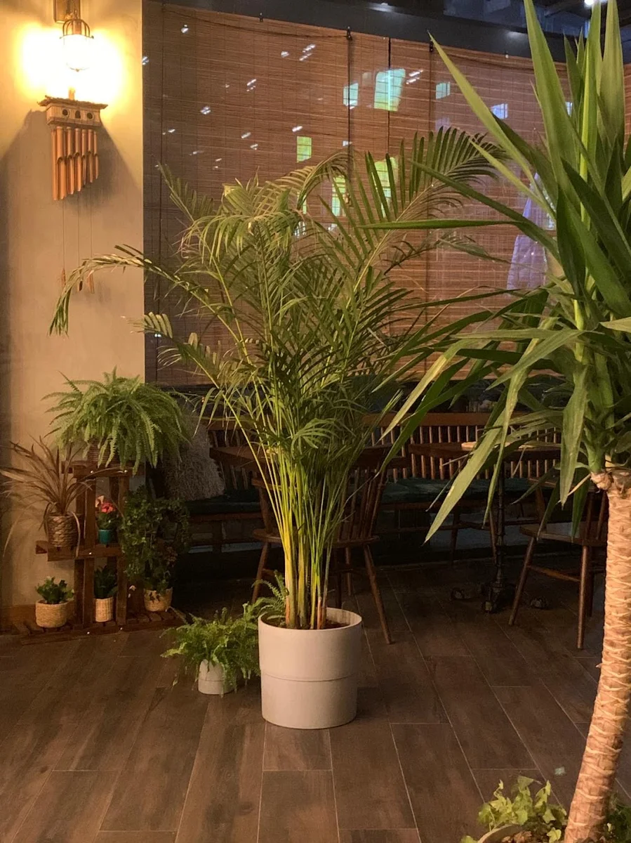 Tarihi Üsküp Köftecisi Bahçeşehir - Görsel 9