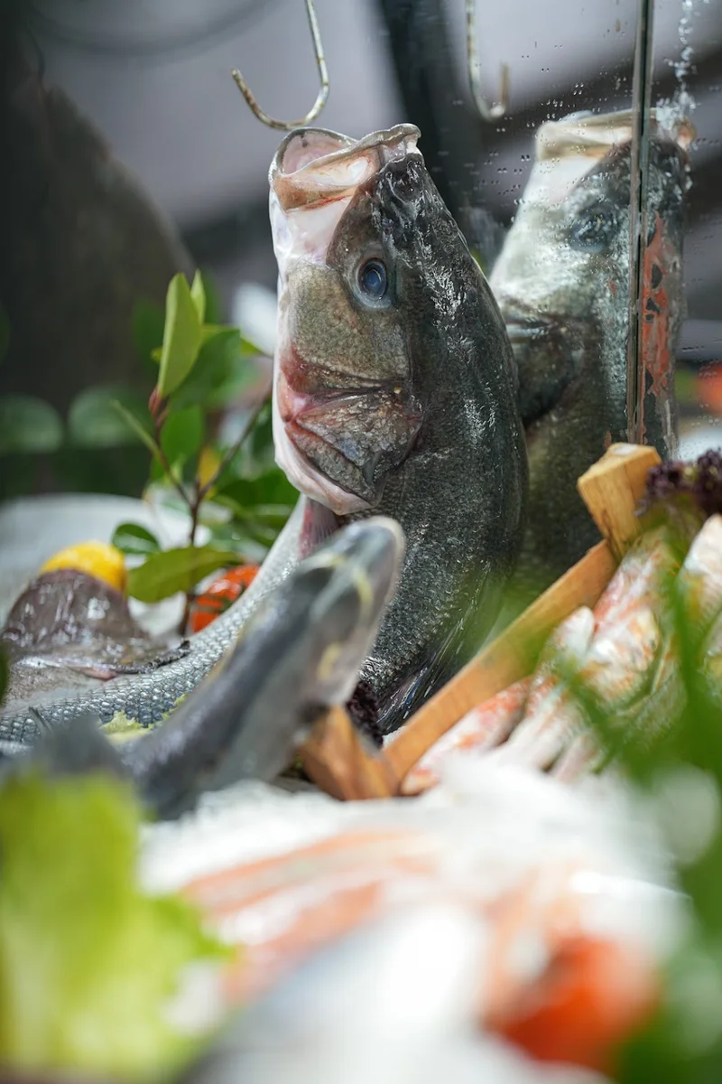 Göl Balık Bahçeşehir - Görsel 7