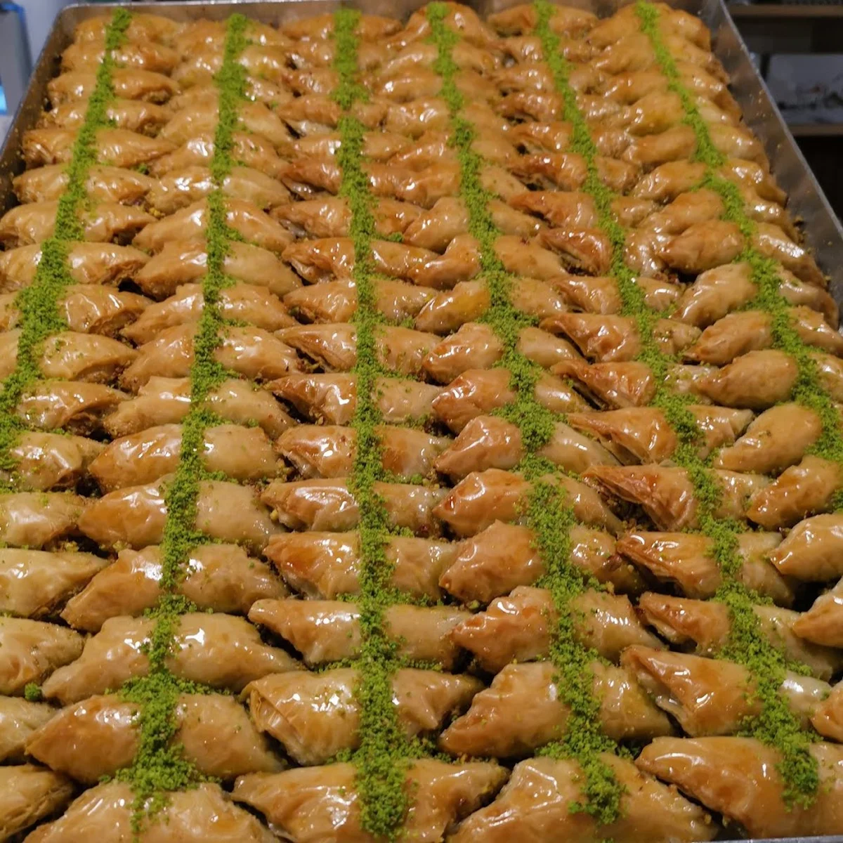 Faruk Güllüoğlu - Görsel 9