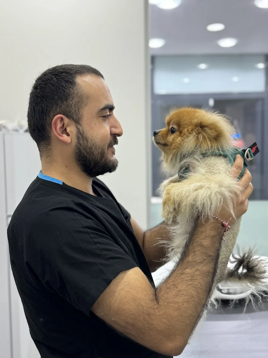 Komagene - Görsel 1