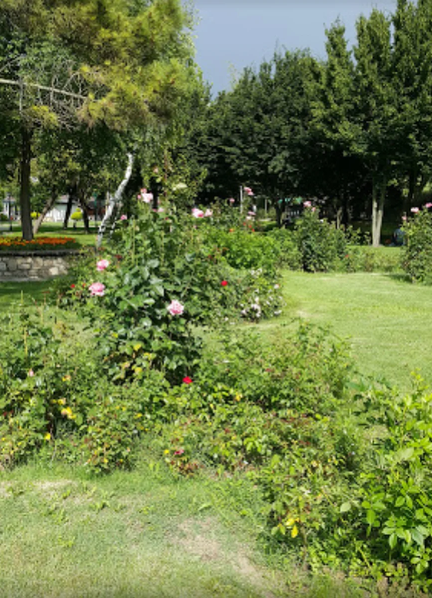 Şark Sofrası Restaurant - Görsel 2