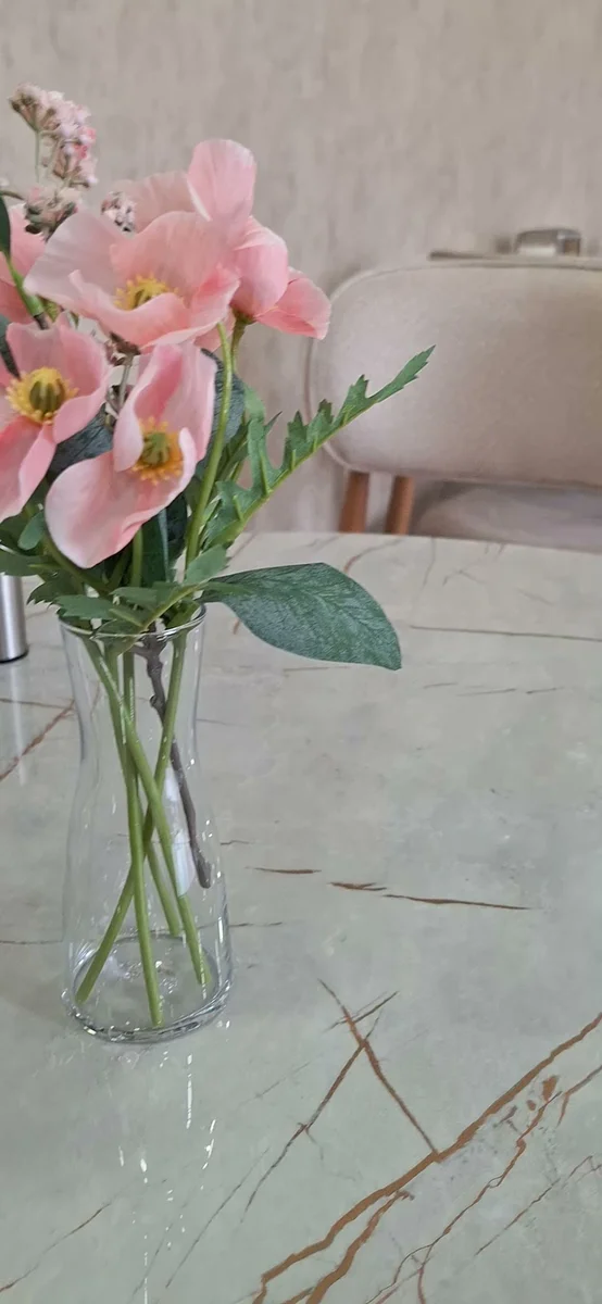 Pilav Flora - Görsel 6