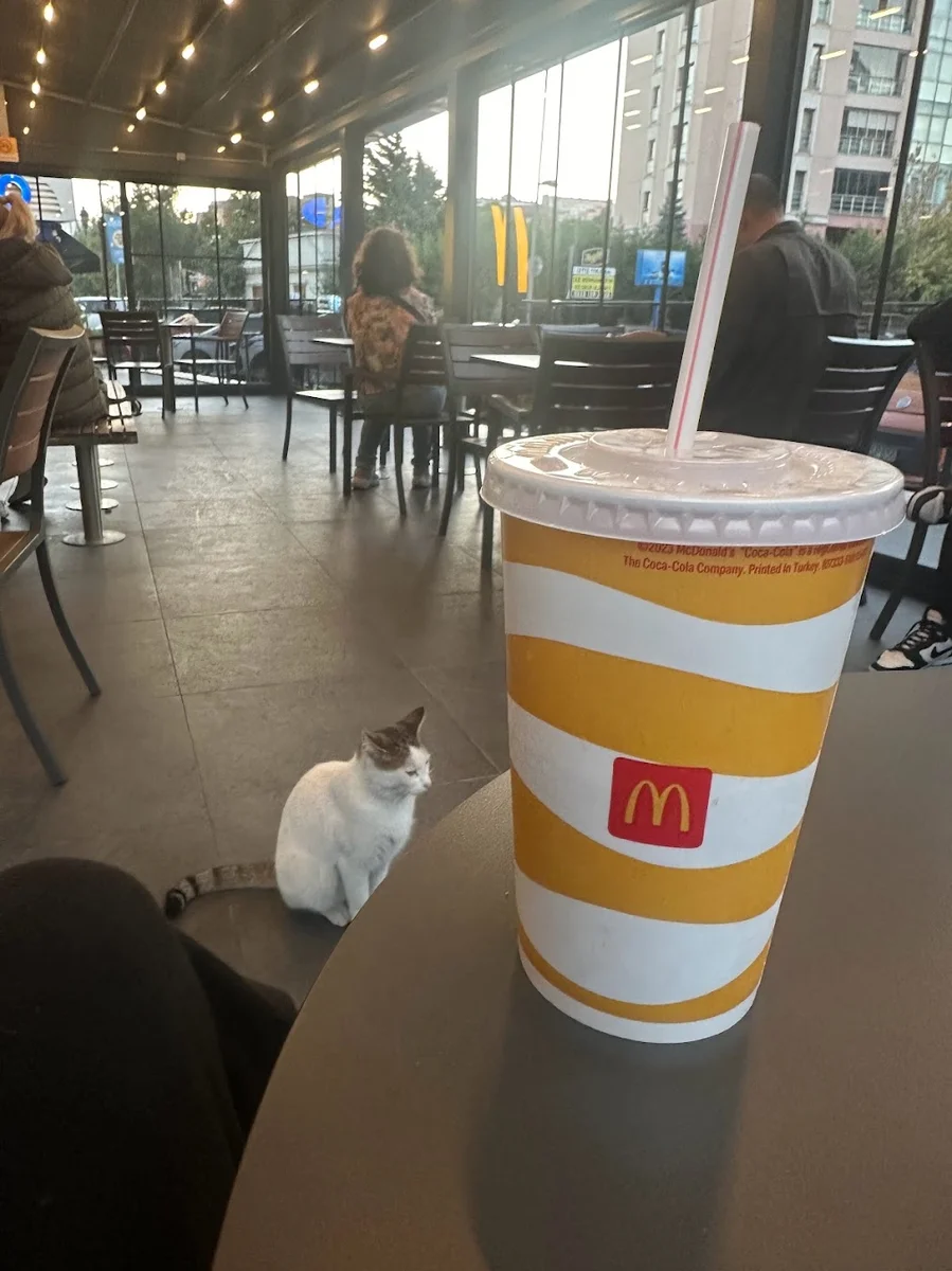 McDonald’s - Görsel 1