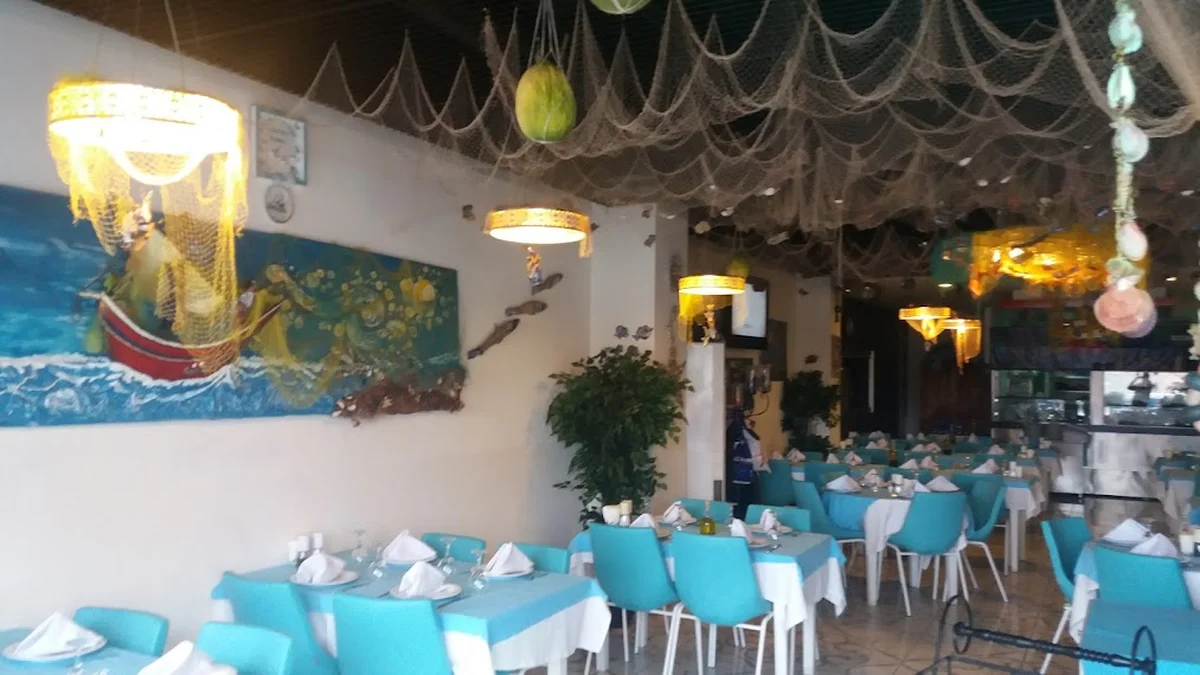 Balıkçı Şenol - Görsel 1