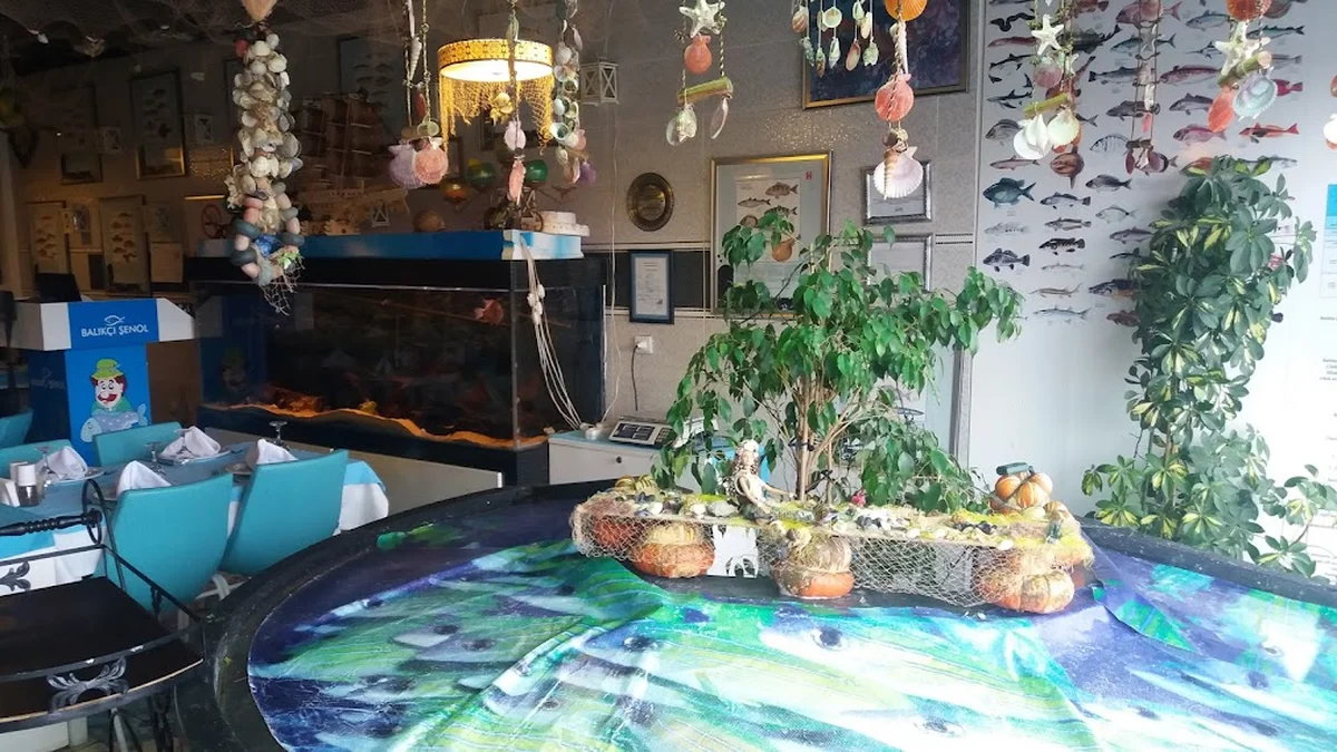 Balıkçı Şenol - Görsel 4