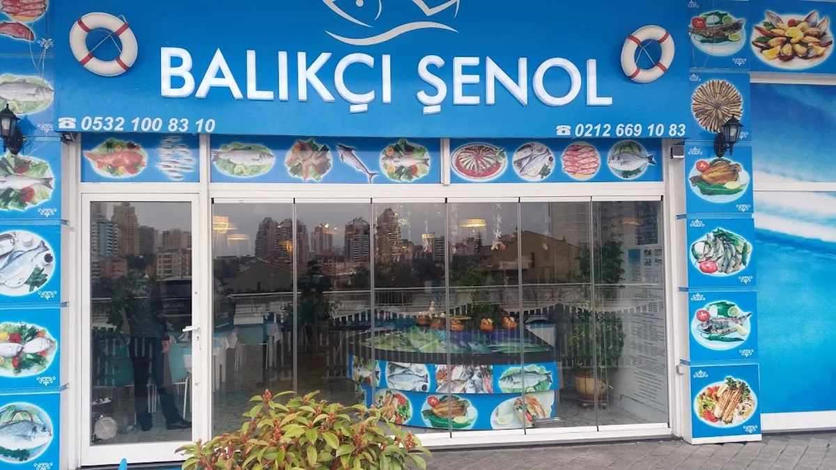 Balıkçı Şenol - Görsel 2