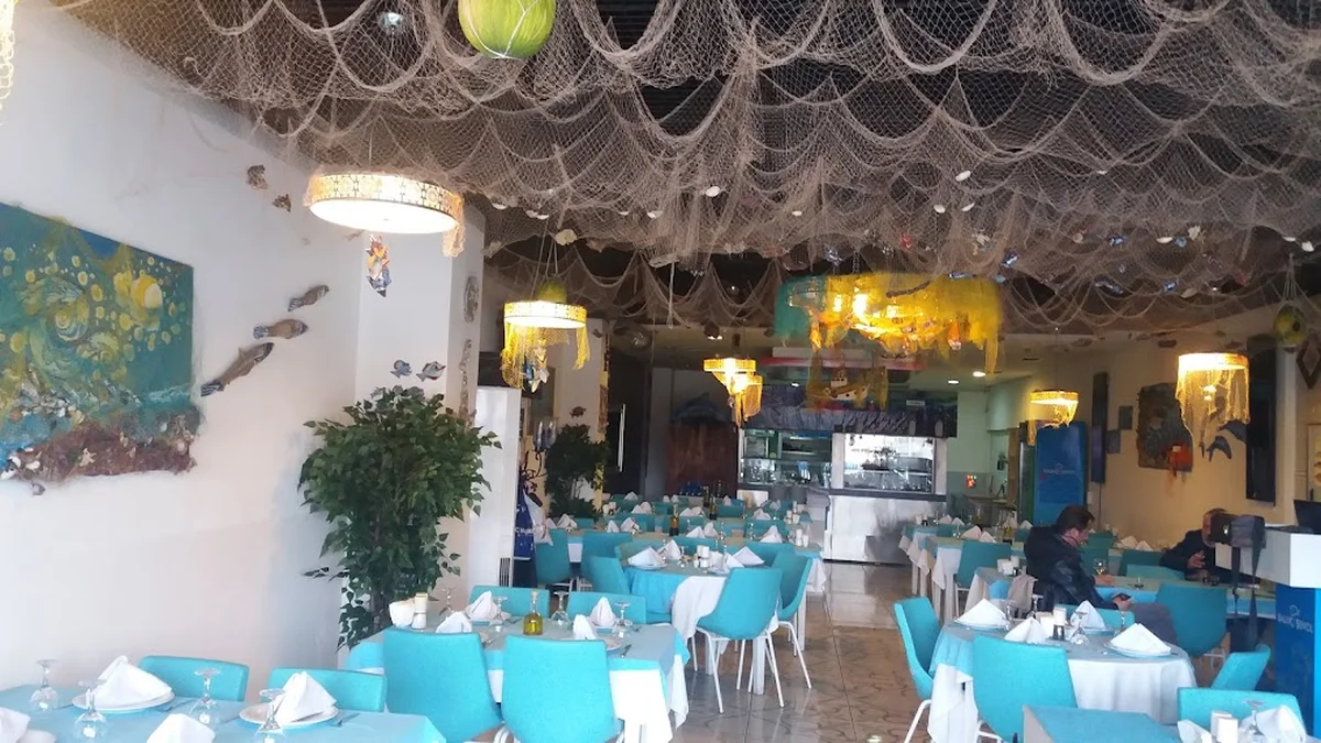 Balıkçı Şenol - Görsel 3