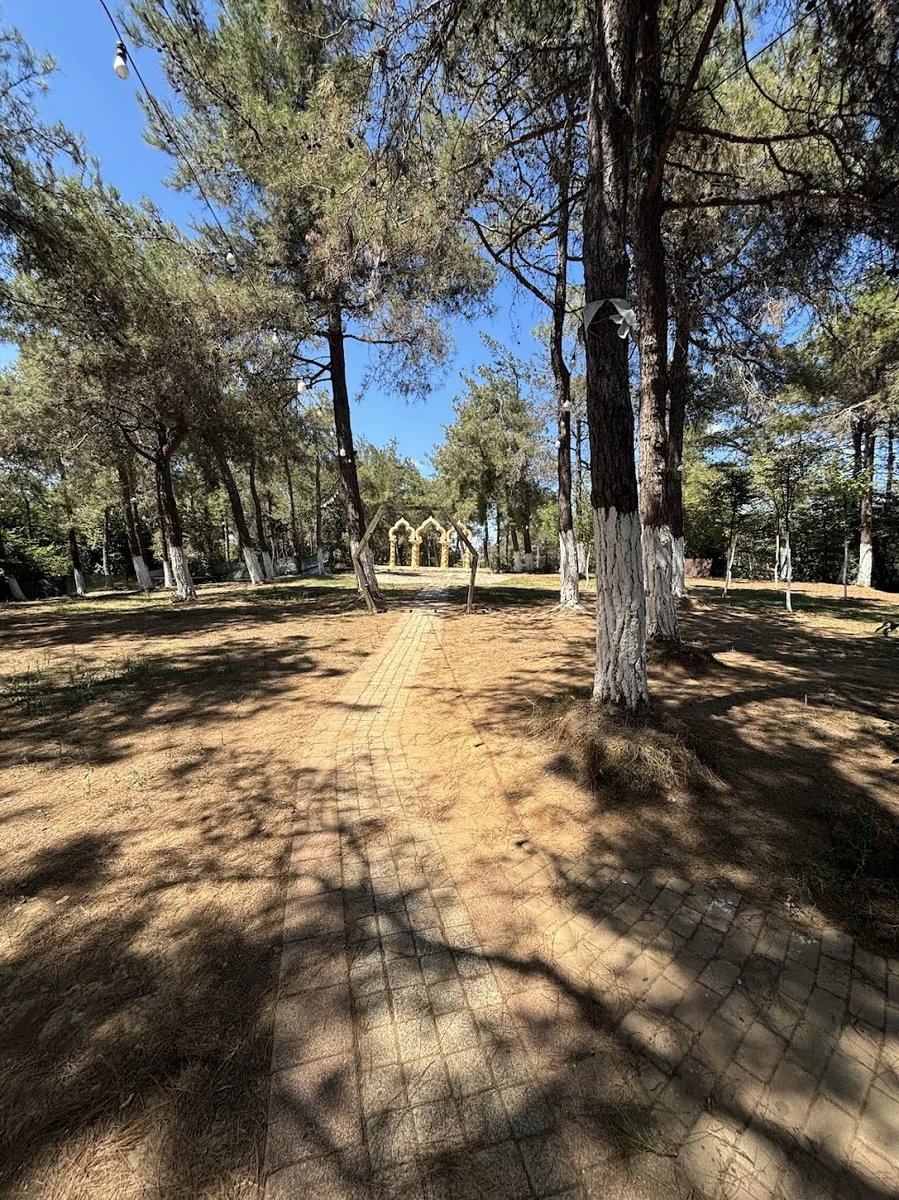 Gülmahal Restaurant Kafe, Nargile – Kendin Pişir ve Serpme Kahvaltı - Görsel 8