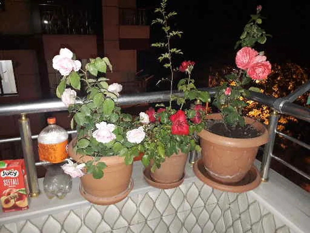 Eren Kebap Salonu - Görsel 6