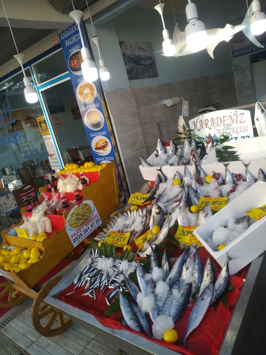 MR Karadeniz Balıkçılık - Görsel 4