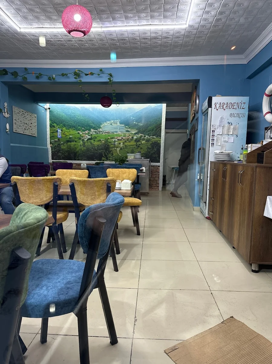 MR Karadeniz Balıkçılık - Görsel 7