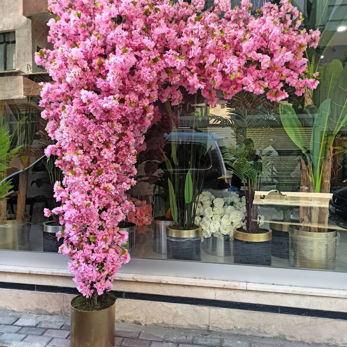 Yöreler Pide Lahmacun Pizza Salonu - Görsel 3